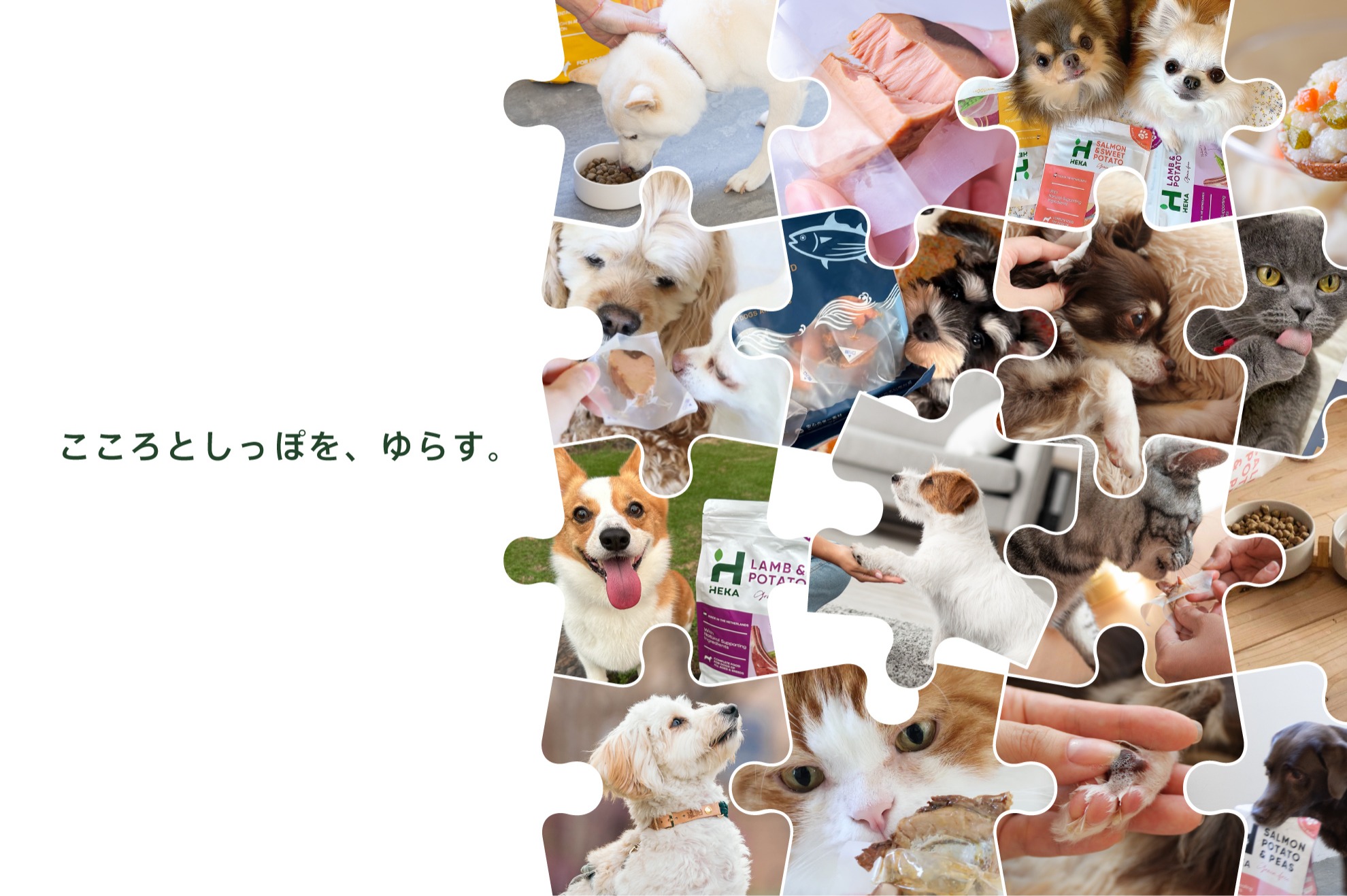 第二新卒可能。動物と向き合う経験をより良いペット生活の実現に活かしませんか - ＨＥＫＡ Ｐｅｔｌｉｆｅ株式会社のカスタマーサポートの採用 - Wantedly