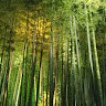 高杉 拓実